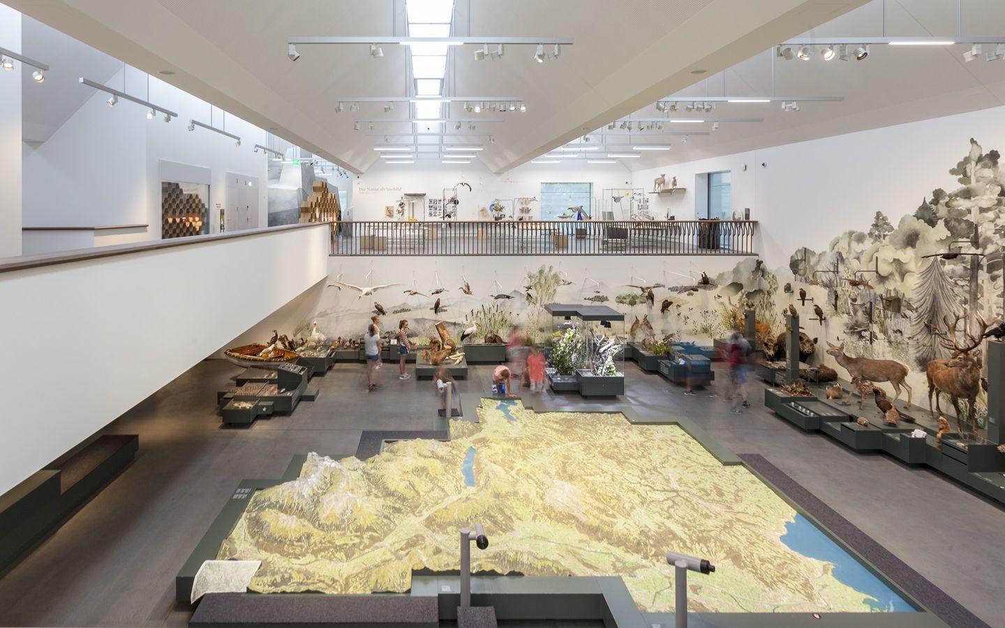 Naturmuseum St.Gallen